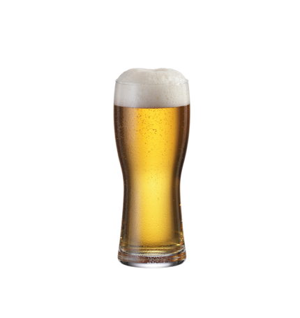 Copo para cerveja 300ml com 6 unid