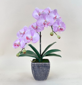 Arranjo de orquidea artificial rosa no vaso 50x35cm