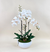 Arranjo de orquidea artificial creme e marron no vaso branco