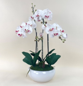 Arranjo de orquidea artificial creme no vaso branco