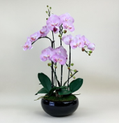 Arranjo de orquidea artificial pink no vaso preto