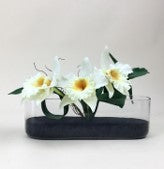 Vaso decorativo orquideas catteleya creme