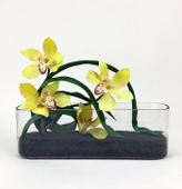 Vaso decorativo orquideas cymbidium amarelo