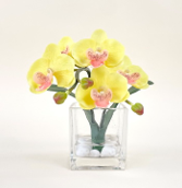 Arranjo de orquidea artificial amarelo 8x8cm