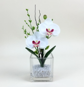 Arranjo de orquidea artificial creme 8x8cm